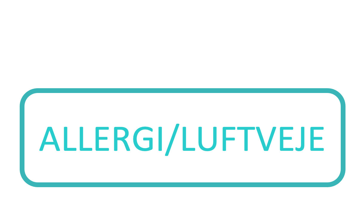 Allergi/Luftveje